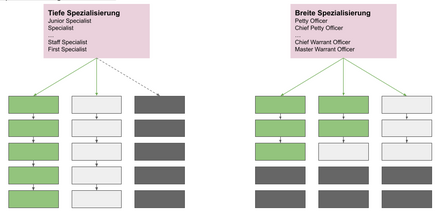 Tiefe und Breite Spezialisierung